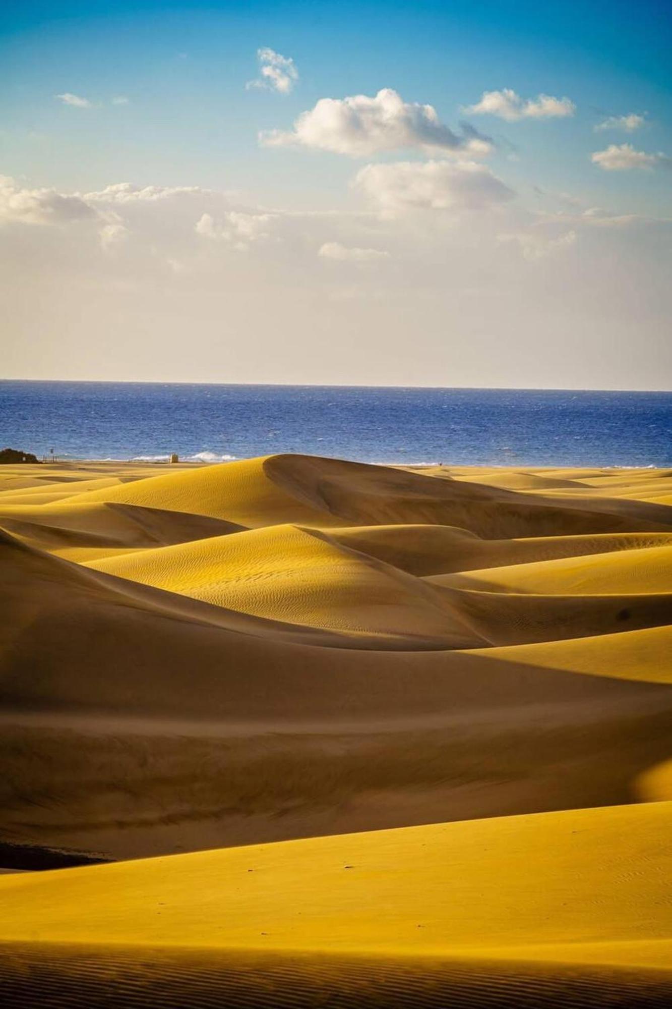 Sol Y Mar Dunas San Bartolomé Ngoại thất bức ảnh